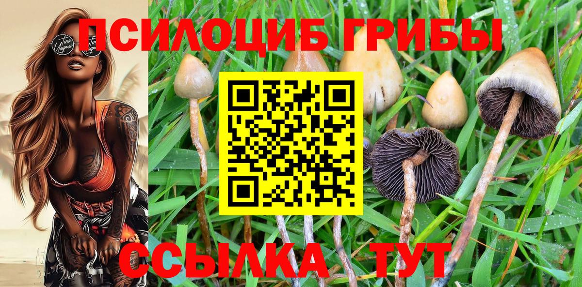 Псилоцибиновые грибы GOLDEN TEACHER Пыть-Ях